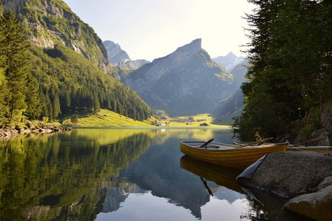 water_Homepage_1.jpg  