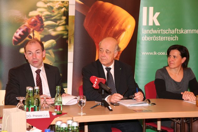 honig2.JPG  