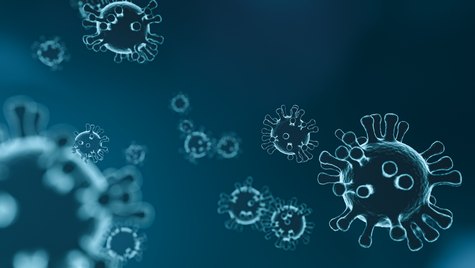 virus-4835301.jpg  