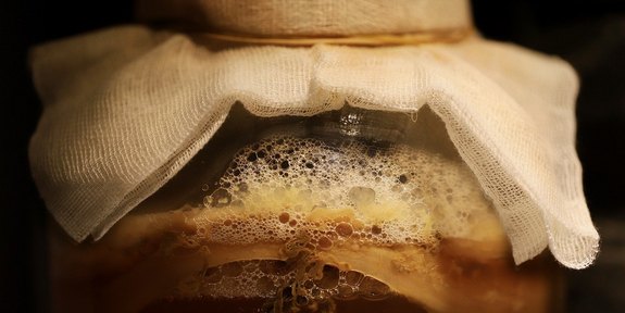 Stärken Sie Ihr Immunsystem mit Kombucha!